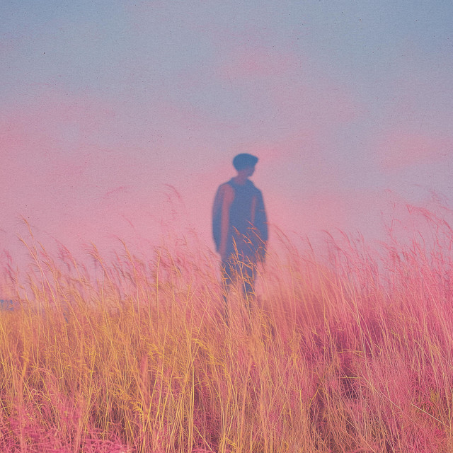 pink fields cover art