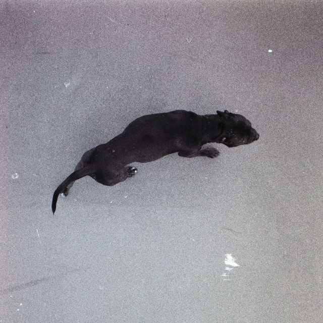 undefined album image