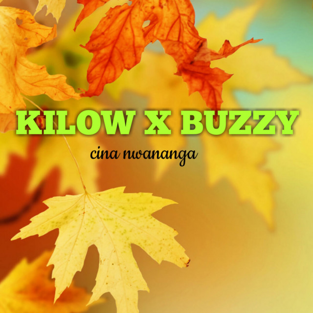 X-Buzz Photo