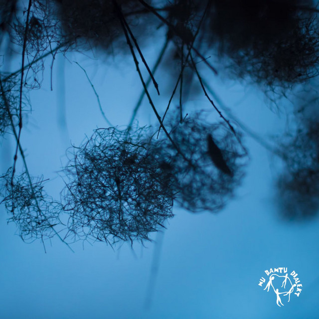 Sounds of Nu cover art