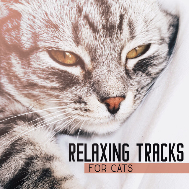 Relaxing Tracks for Cats (Gentle Sounds Only for Kittens Ears) cover art