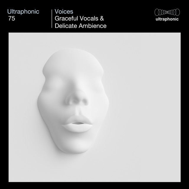 Voices cover art