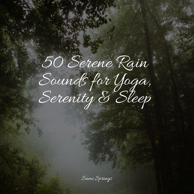 50 Serene Rain Sounds for Yoga, Serenity & Sleep cover art