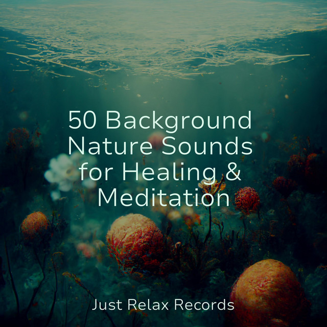 50 Background Nature Sounds for Healing & Meditation - Album by New Age ...