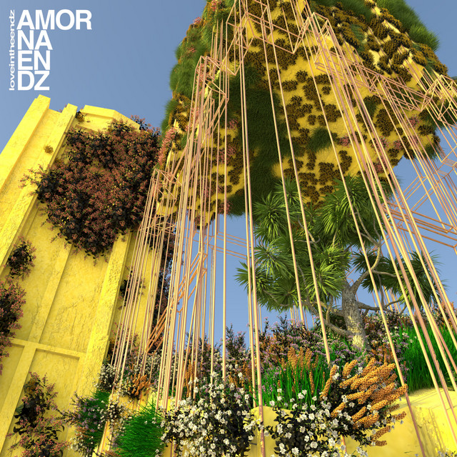 AMOR NA ENDZ 2 cover art