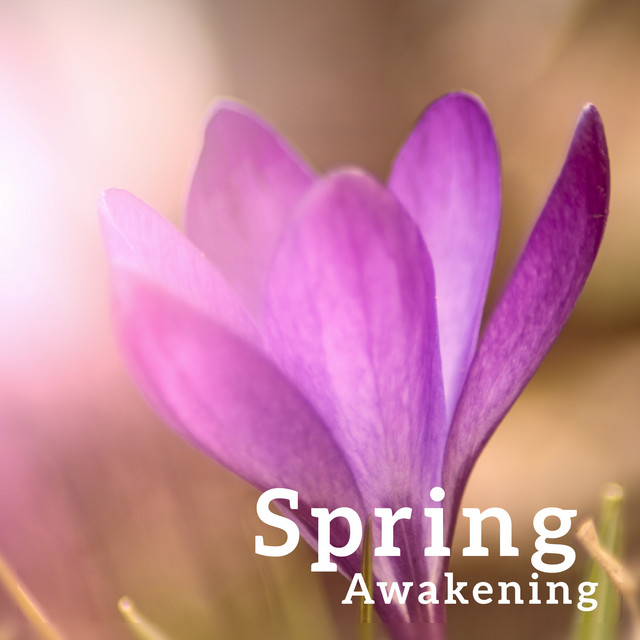 Spring Awakening - Fresh Meditation, New Energy, Nature Music for Stress Relief cover art