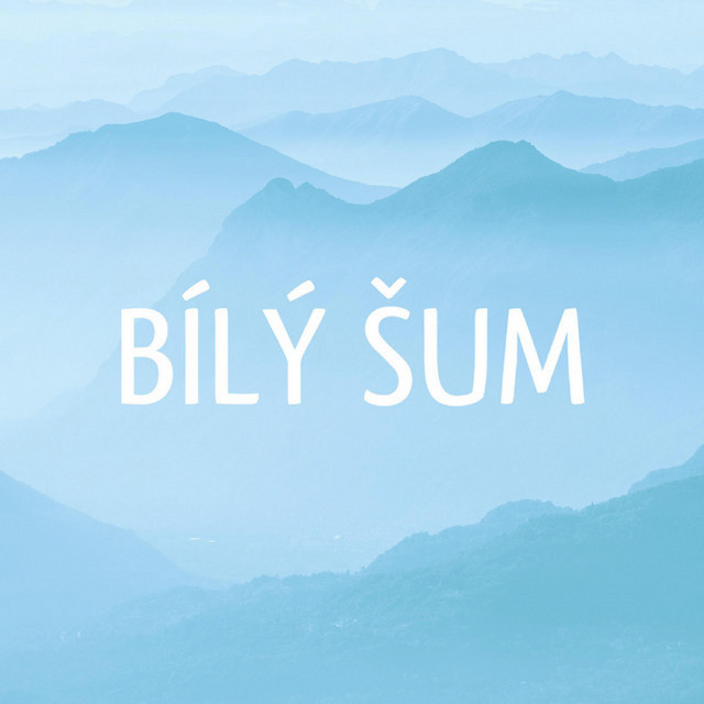 Bílý Šum cover art