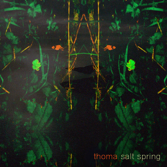 Salt Spring cover art