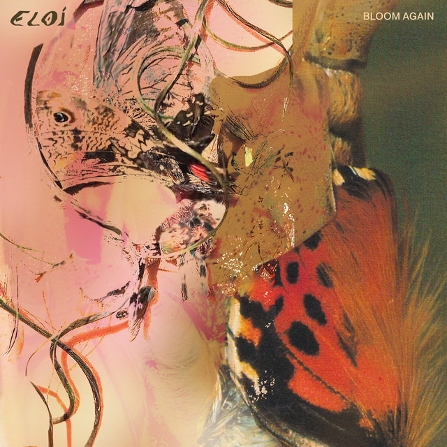 Bloom Again cover art