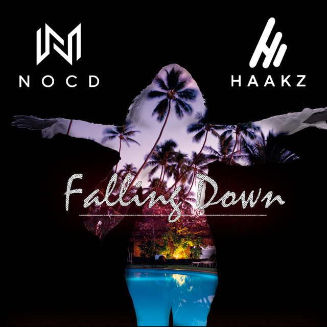 Falling Down cover art