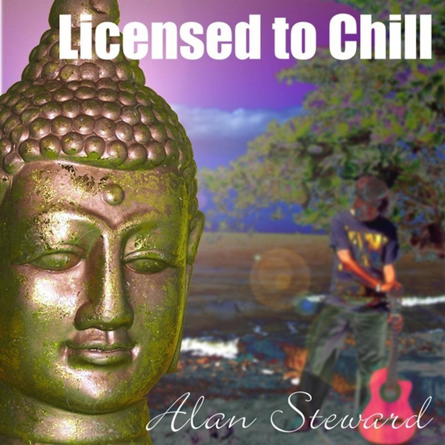 Licensed to Chill cover