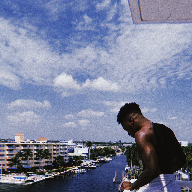 Ineligible Bachelor cover art