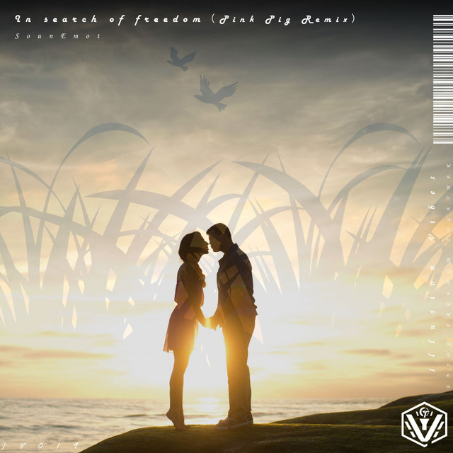 In Search of Freedom - Pink Pig Radio Edit Remix cover art