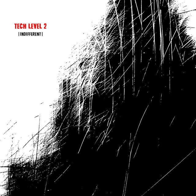 Indifferent cover art