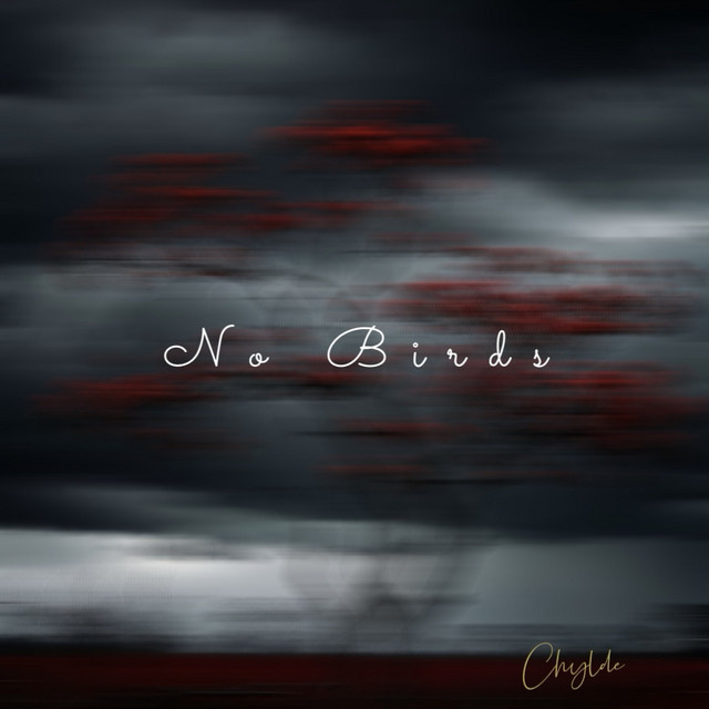 No Birds