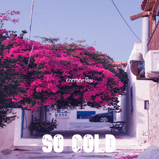 So Cold - Single by Carmine Risi | Spotify