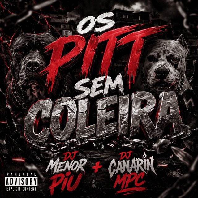 OS PITT SEM COLEIRA