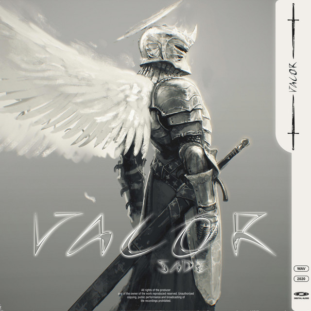 Valor cover art