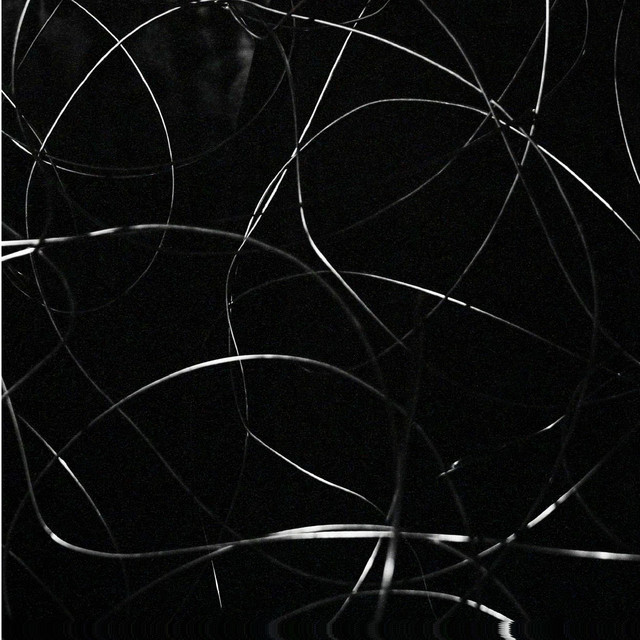 Symonenko students VA cover art
