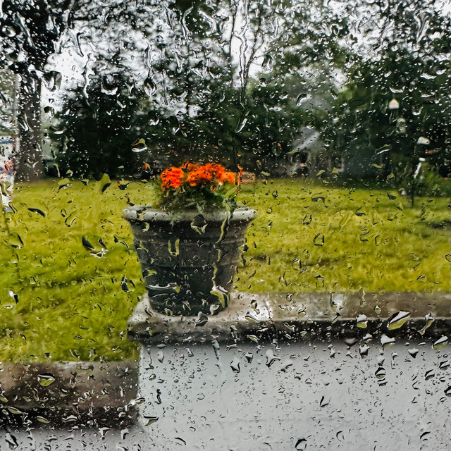 N.J. Rain cover