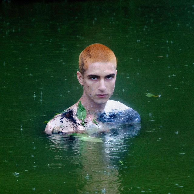 Wokal cover art