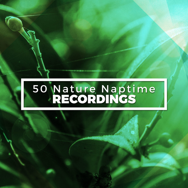 50 Nature Naptime Recordings - Album by Sleep Sounds of Nature | Spotify
