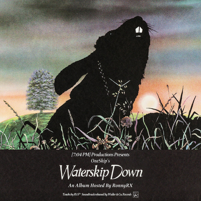 Waterskip Down cover art