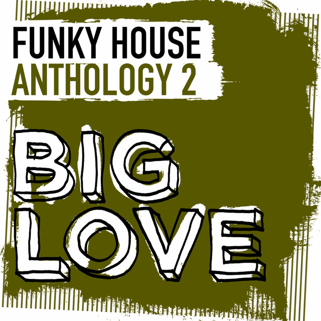 Big Love Funky House Anthology 2 cover art