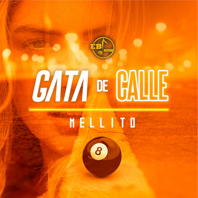 Gata de Calle