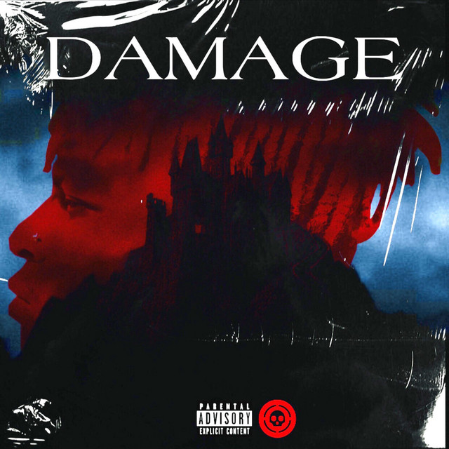 Damage cover art