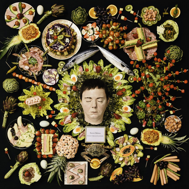 Wild Imagination cover art