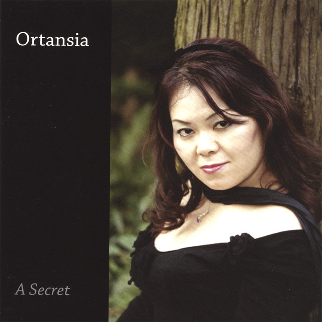A Secret cover art