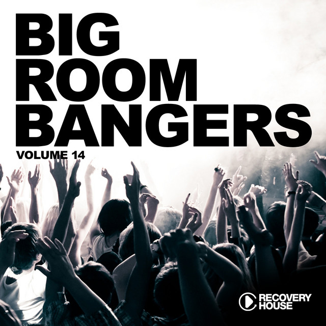 Big Room Bangers, Vol. 14 cover art