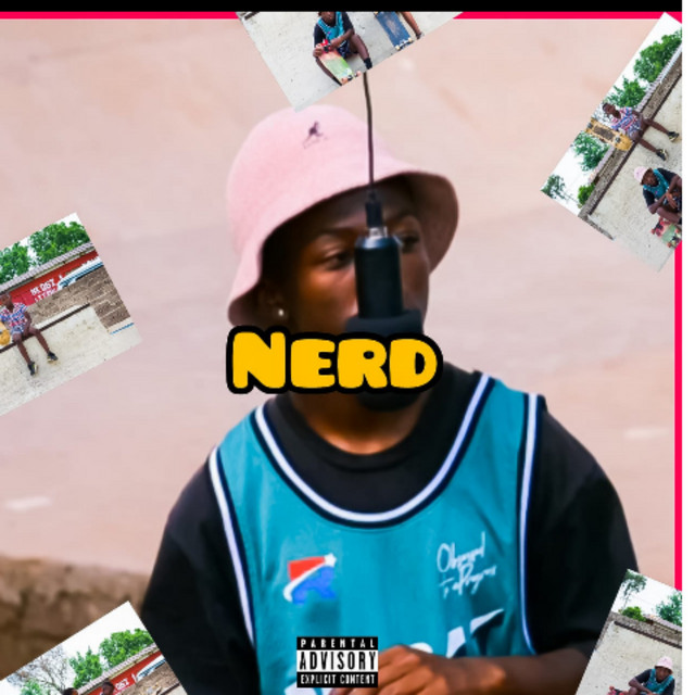 NERD cover art