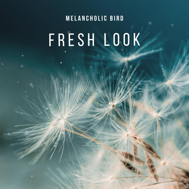 Обкладинка: Fresh Look — Melancholic Bird