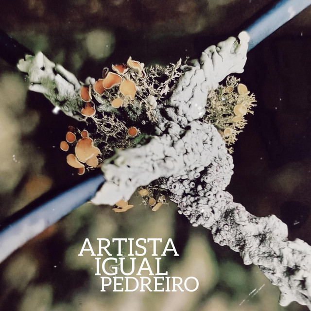 Artista Igual Pedreiro cover art