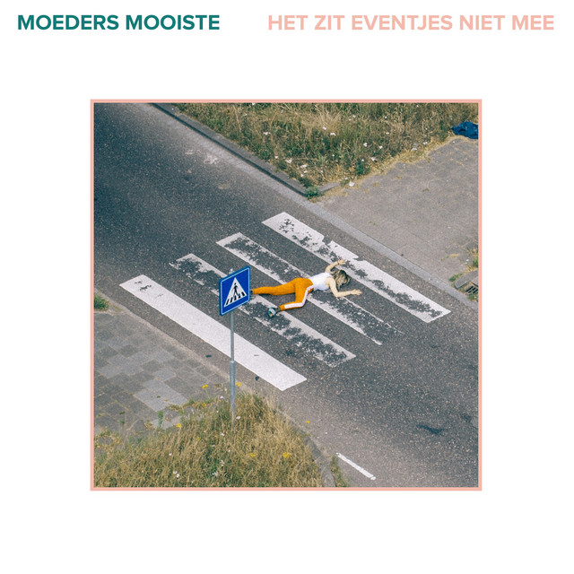 Het Zit Eventjes Niet Mee cover