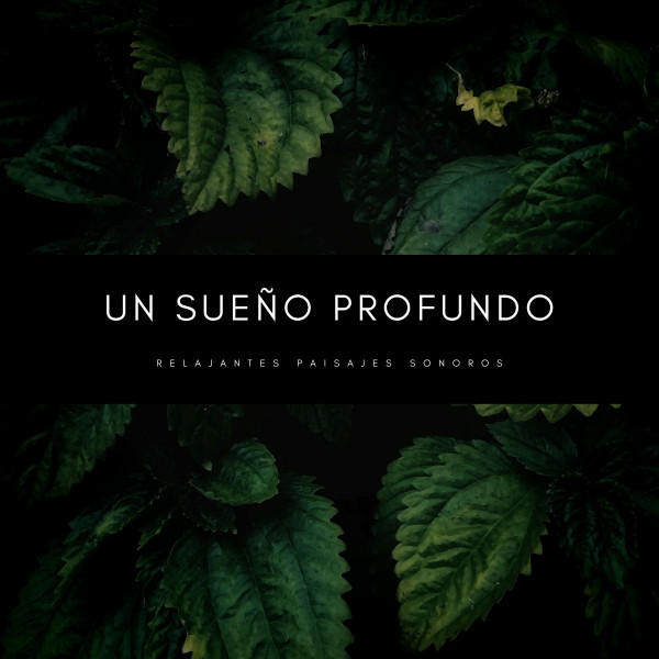 Un Sueño Profundo: Relajantes Paisajes Sonoros cover art