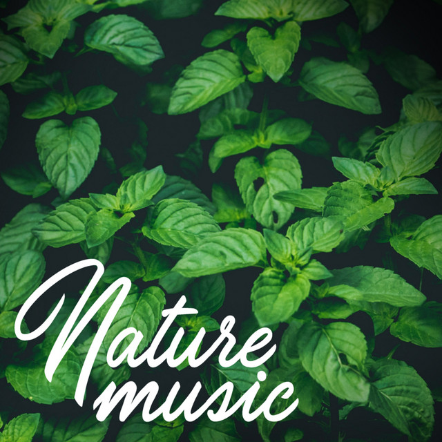 Nature Music - Album by Nature Sounds Nature Music | Spotify
