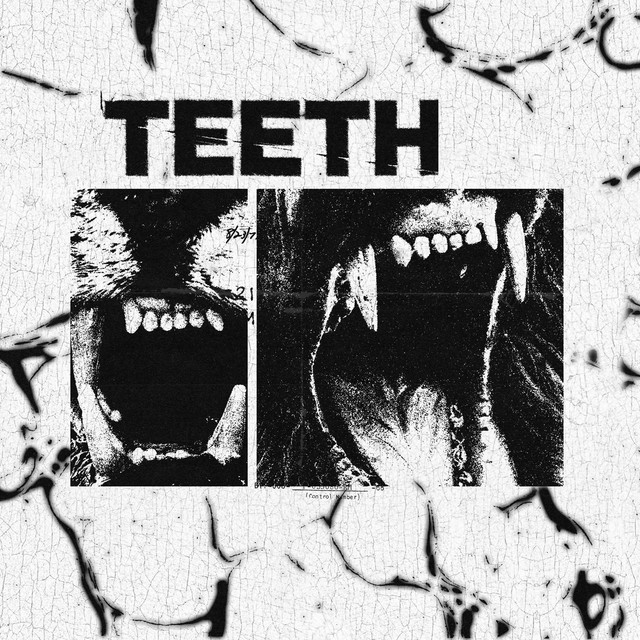 Teeth