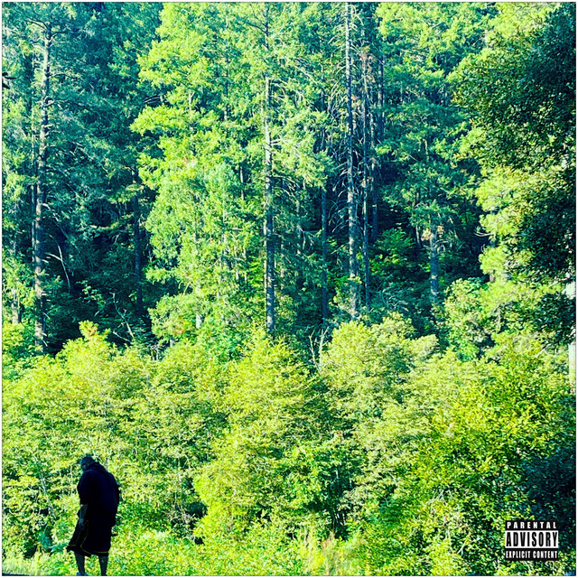Heaven Sent - Remix cover art