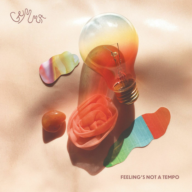 Feeling's Not A Tempo cover art