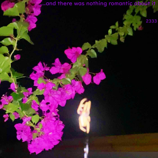 ...and there was nothing romantic about it cover art