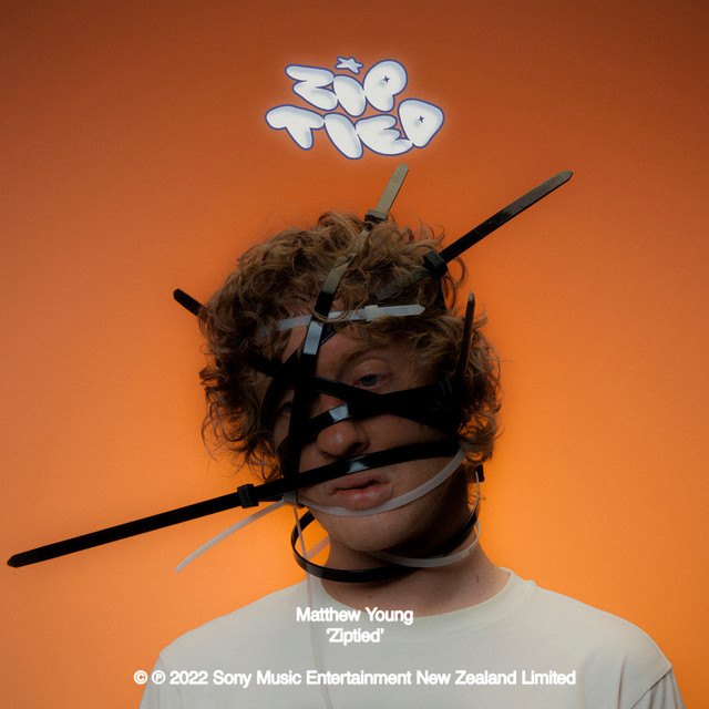 Ziptied cover art