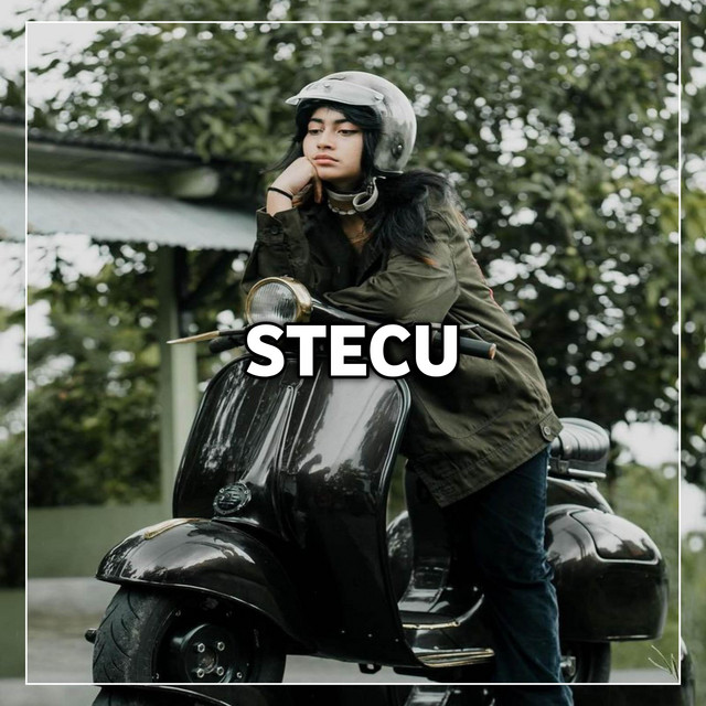 DJ Stecu cover art
