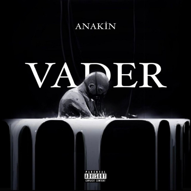 VADER cover art