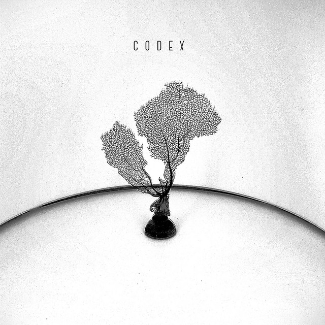 Codex cover art