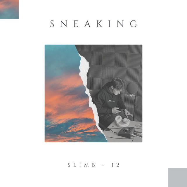 Sneaking cover art