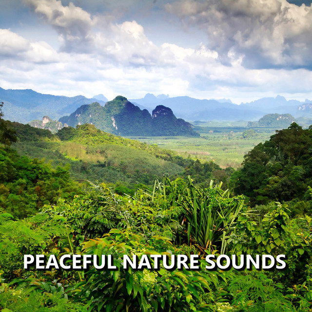 Peaceful Nature Sounds cover art