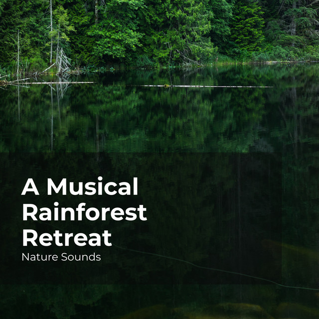 A Musical Rainforest Retreat - Album by Nature Sounds | Spotify